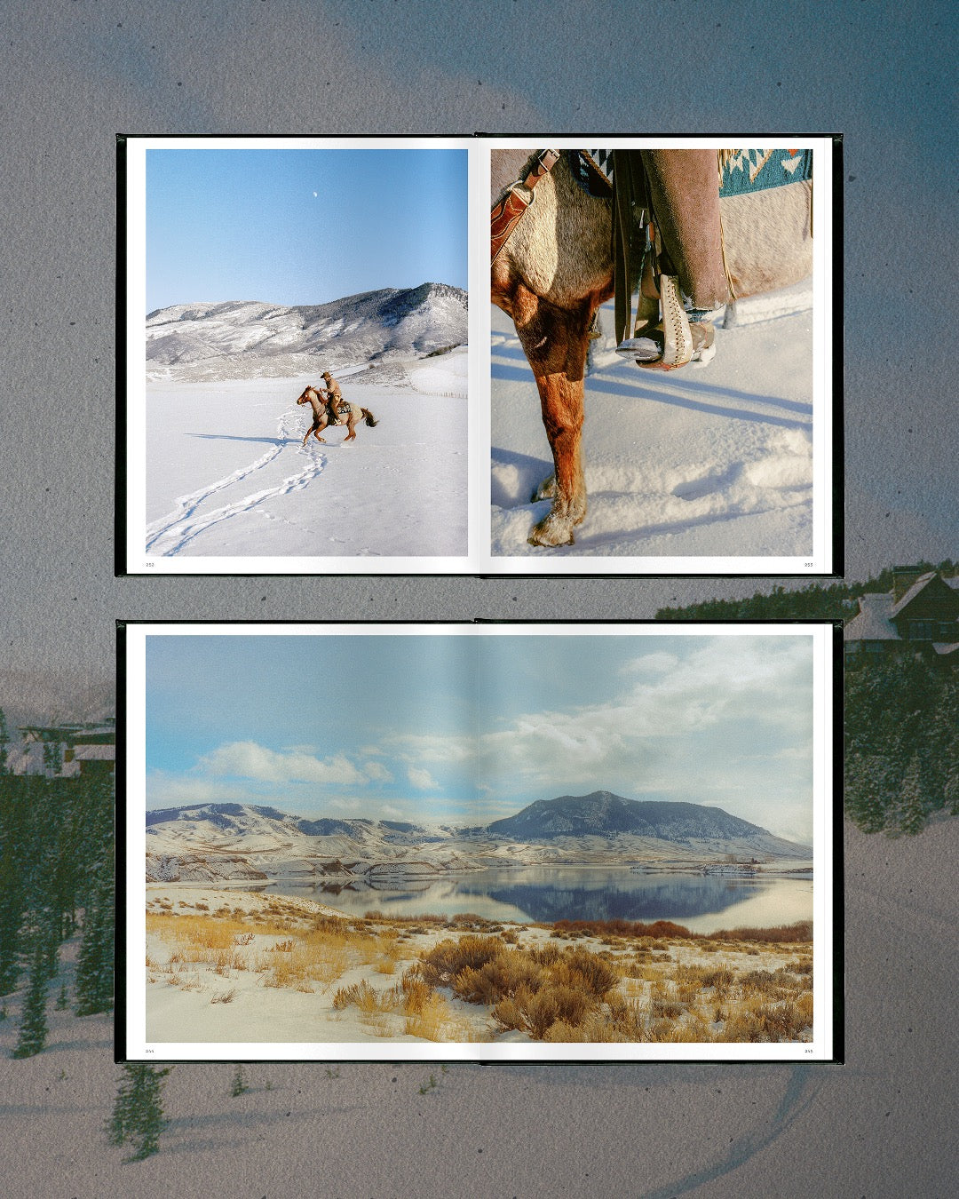 Wandering America book product image