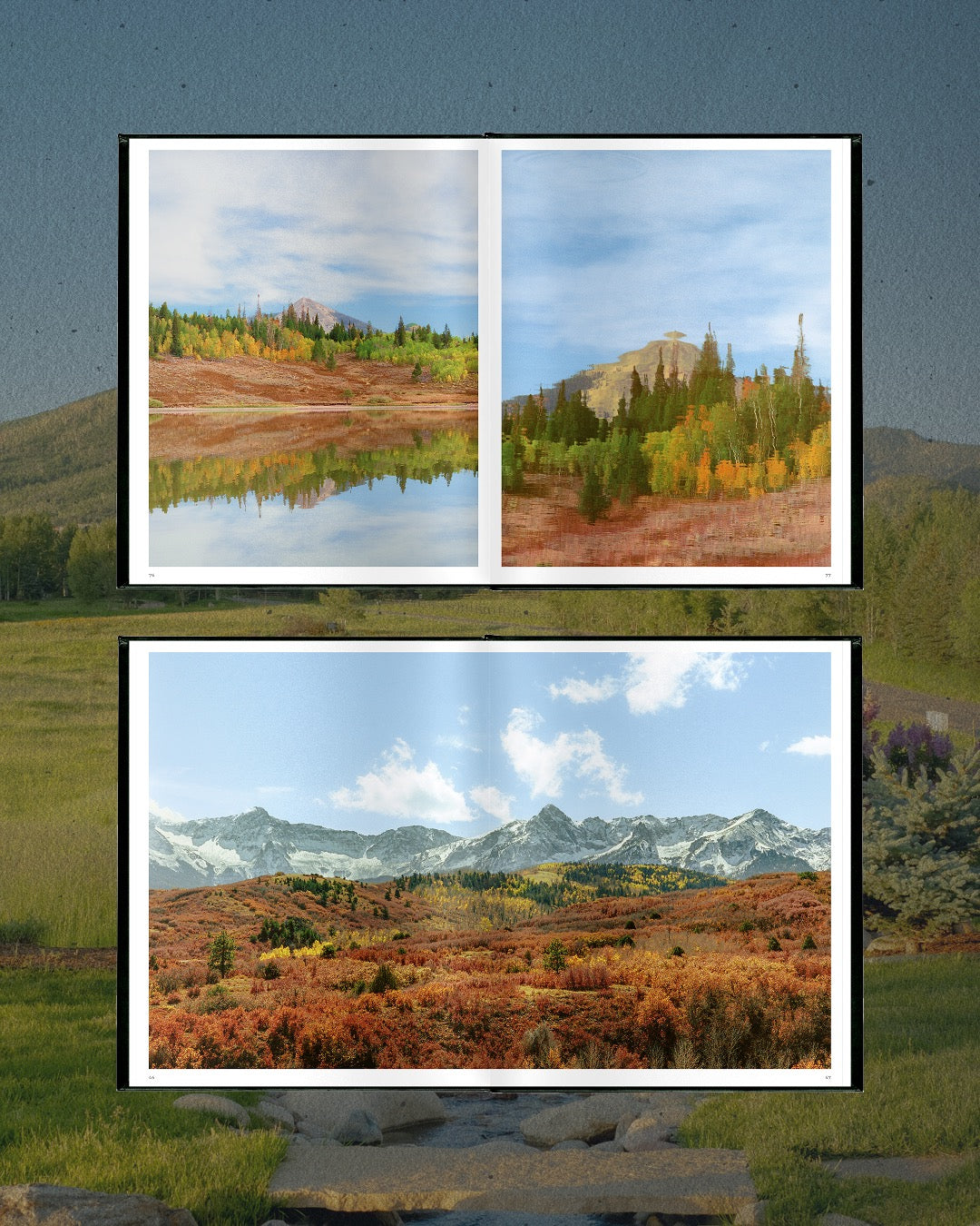Wandering America book product image