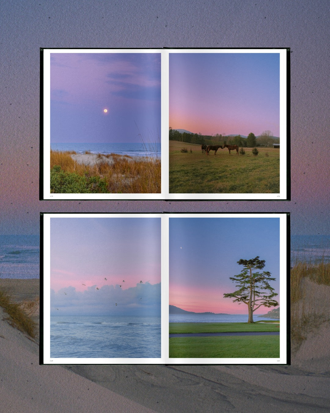 Wandering America book product image
