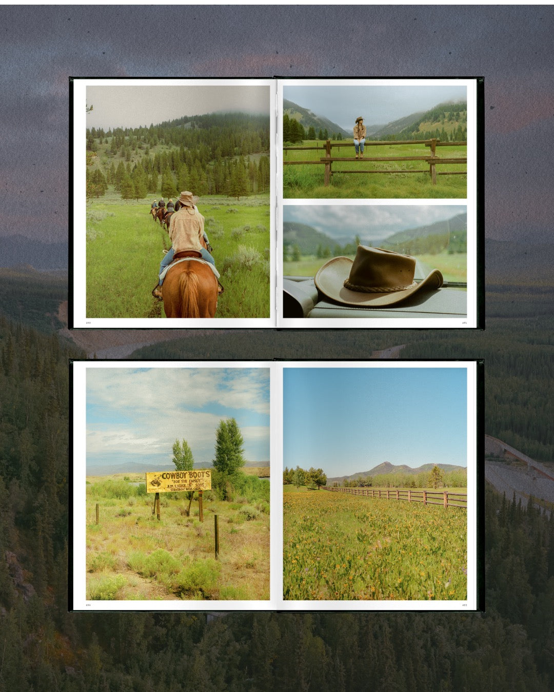 Wandering America book product image