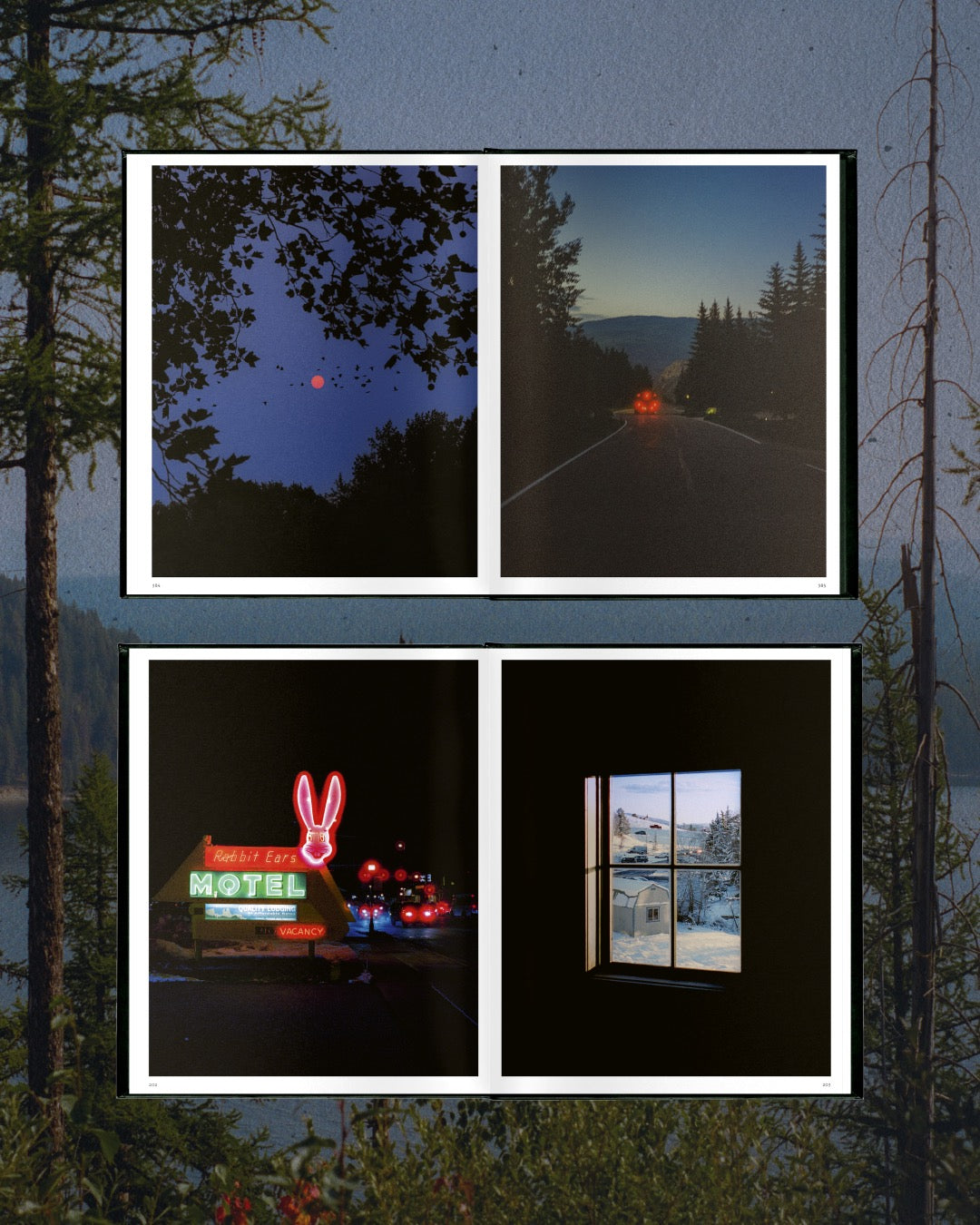 Wandering America book product image